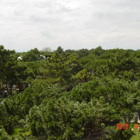 Amigos Szálloda Milano Marittima