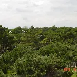 Amigos ホテル ミラノ・マリッティマ